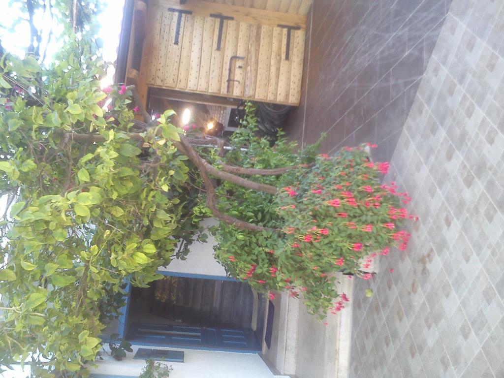 Pansion Ivan Sucuraj Luaran gambar